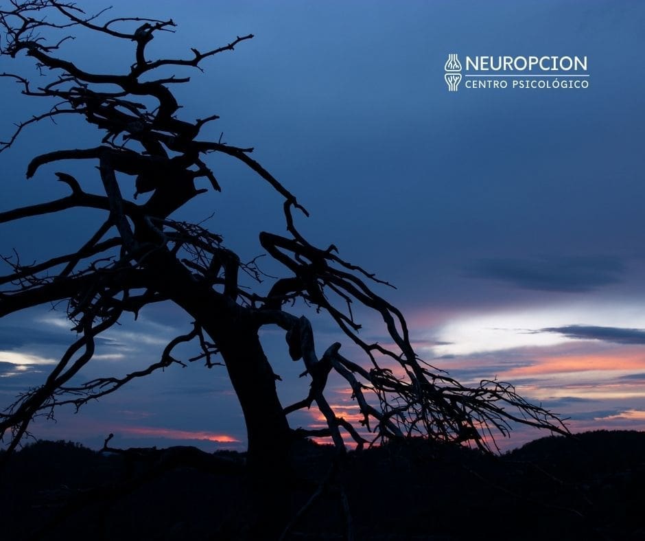 Depresión y soledad Depresión y soledad | Neuropcion Centro Psicológico