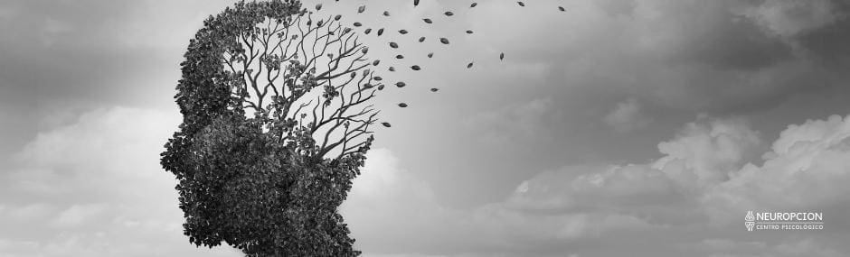 ¿Qué es Esquizofrenia? esquizofrenia