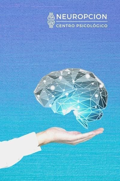 Programa de Orientación Vocacional. programa de orientación vocacional